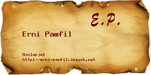 Erni Pamfil névjegykártya